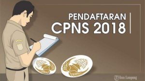 pendaftaran-cpns-2019_20180801_081635
