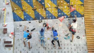 Olahraga Panjat Tebing. (Foto : detiksport)