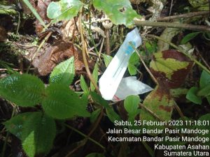 IMG-20230227-WA0010