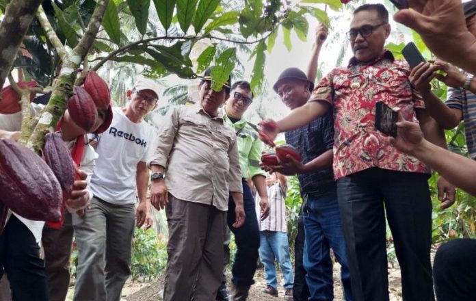 Bupati Bolmong dan Ketua Deprov Sulut Tinjau Kebun Kakao di Desa Bakan