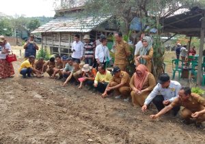 Gambar : Dinas Pertanian Sukses Tanam Bawang Merah Bersama Kelompok Tani Sabilil Rasyad, Bengkulu Selatan (24/10/2023).
