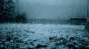 images (6)