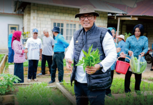 Gambar : Penjabat Bupati Buton Tengah, Andi Muhammad Yusuf saat melaksanakan penanaman bibit cabai di Desa Lakapera, Sabtu (9/12/2023). Foto : Diskominfo Buton Tengah