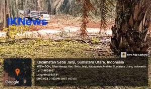 IMG_20240209_184728