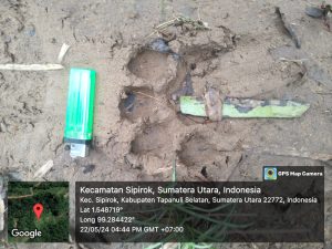 IMG-20240522-WA0045