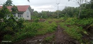 IMG-20240523-WA0005