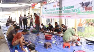 IMG-20240617-WA0260