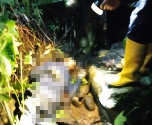 Diduga Jatuh Dari Pohon, Warga Kandangserang Ditemukan Meninggal