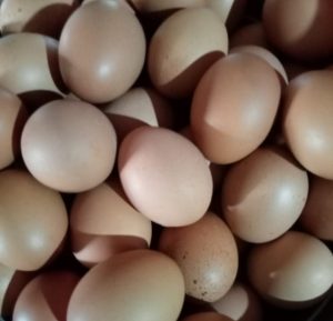 Pemberian Makanan Tambahan (PMT) Balita di Desa Tanjung Aur