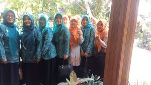 Penilaian dan Evaluasi 10 Program Pokok PKK di Desa Pesawahan Kecamatan