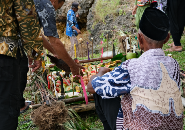 Proses adat hame hame desa Wakambangura. Kecamatan Mawasangka. Foto : IST