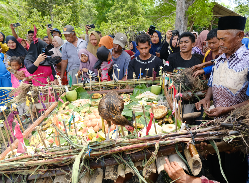 Proses adat hame hame desa Wakambangura. Kecamatan Mawasangka. Foto : IST