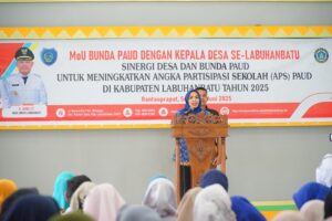 WhatsApp Image 2025-06-18 at 19.09.04_42229548