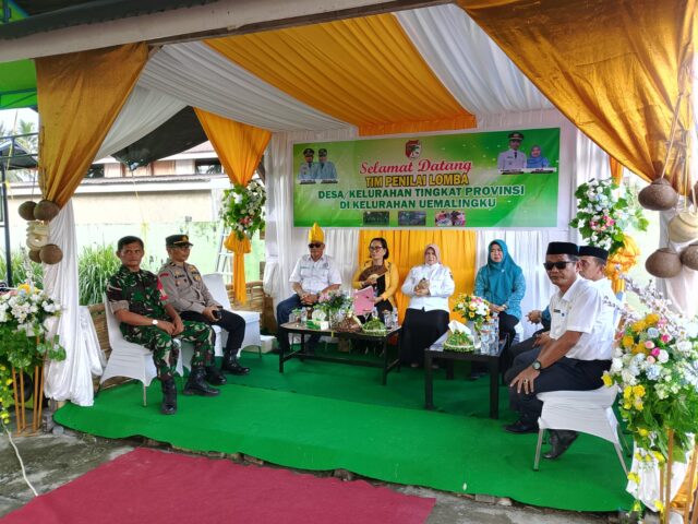 Wabup Tojo Una-Una: Lomba Desa Tingkat Provinsi Sulteng, Pacu Pembangunan Desa Berkelanjutan