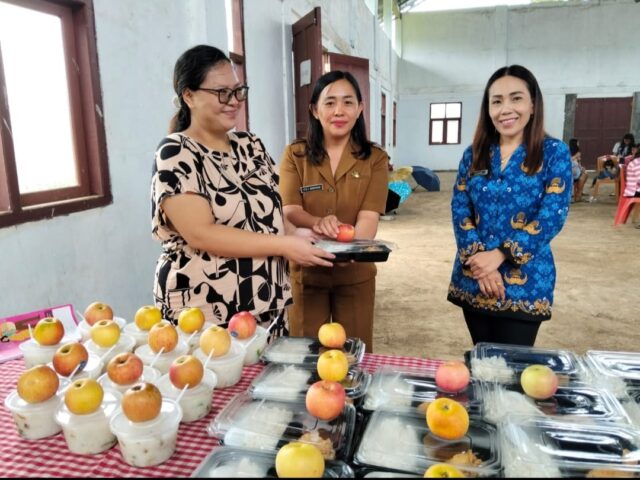 Percepat Penurunan Stunting, Pemdes Poopo Barat Realisasikan DD Melalui Kegiatan Posyandu