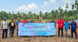 IMG_20250729_230108 IMG_20250729_230108