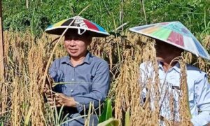 DPRD Bulungan Dorong Pemkab Genjot Kemajuan Pertanian dan Meningkatkan Perekonomian Petani