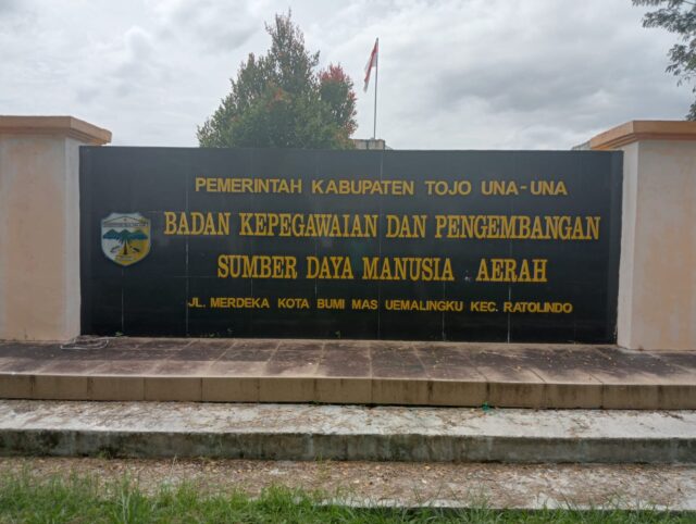 Polemik Kelulusan PPPK Tojo Una-Una: BKPSDM Tegaskan Seleksi Berbasis Dokumen yang Diunggah Peserta