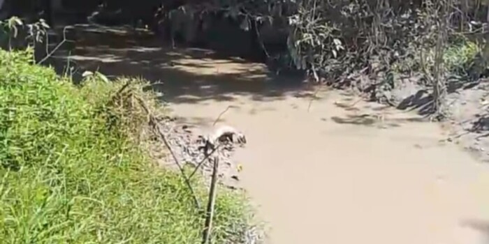 Limbah Tambang Batu Bara Cemari Sungai Daluman di Pegat Bukur, Samsul: Perusahaan Wajib Cabut IUP