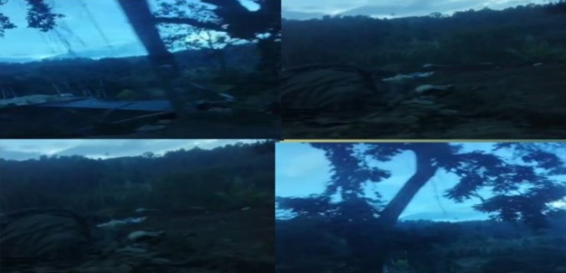 Suasana aktivitas alat berat yang diduga melakukan penambangan emas ilegal di kawasan Hutan Produksi Terbatas (HPT) Ratatotok, Kabupaten Minahasa Tenggara, Sulawesi Utara, pada Jumat (25 Oktober 2025). Kerusakan lingkungan tampak kian parah seiring lemahnya pengawasan aparat penegak hukum. (Foto: Fik/ikn)