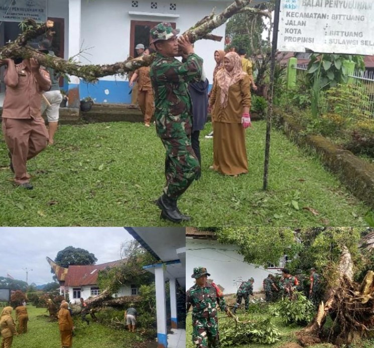 Anggota TNI bersama warga dan pegawai Kecamatan Bittuang mengevakuasi pohon besar yang tumbang menimpa Kantor Kecamatan Bittuang, Minggu (26 Oktober 2025). (Foto: Syar/ikn)