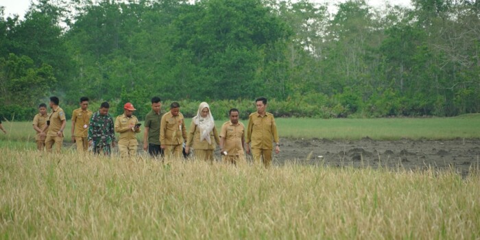 Bupati Bolaang Mongondow Selatan H. Iskandar Kamaru SPt, MSi, meninjau langsung kegiatan panen padi di Desa Tolondadu II, Kecamatan Bolaang Uki, Selasa (4/11/2025). Kunjungan ini menjadi bagian dari upaya memperkuat ketahanan pangan daerah. (Foto: Dok. Prokopim Bolsel)