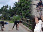 Tim teknis PT Felda Indo Mulia memperbaiki lantai jembatan yang jebol di RT 9, Desa Tanjung Pasir, Kecamatan Kuala Betara, Kabupaten Tanjung Jabung Barat, Sabtu, 15 November 2025. Foto: Jun/IKN