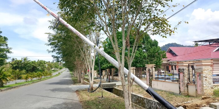 WhatsApp Image 2026-02-23 at 20.00.52