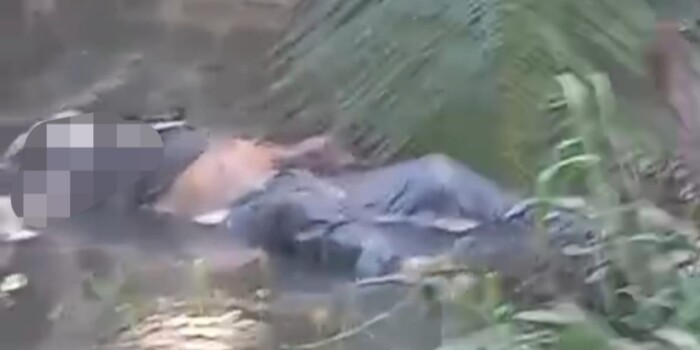 WhatsApp Image 2026-02-26 at 20.08.42