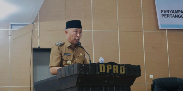 WhatsApp Image 2026-03-31 at 22.23.02